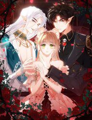 cam-bay-cua-han-25203