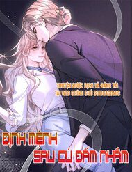 dinh-menh-sau-cu-dam-nham-105348