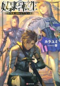 dorei-tensei-sono-dorei-saikyou-no-moto-ouji-ni-tsuki-97536