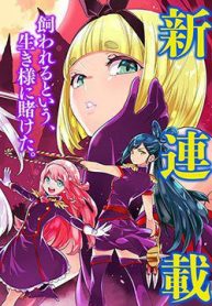 mato-seihei-no-slave-141434