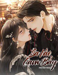 sa-vao-cam-bay-255960