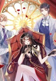 thien-kim-toan-nang-dai-tai-154675