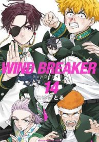 wind-breaker-102471